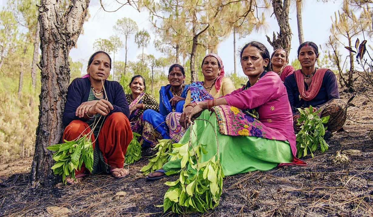 building climate resilience india