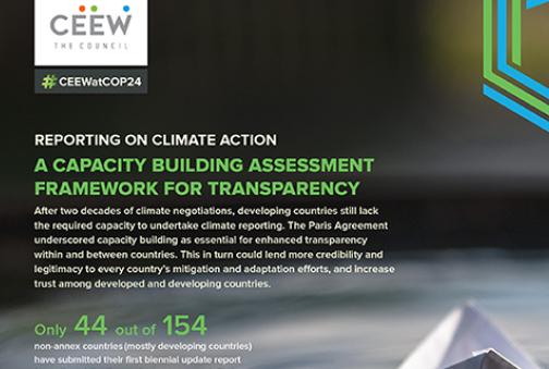 A Capacity Building Assessment Framework For Transparency