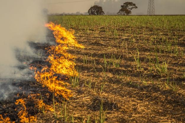 Crop-residue management - Challenges, perceptions, and the way forward