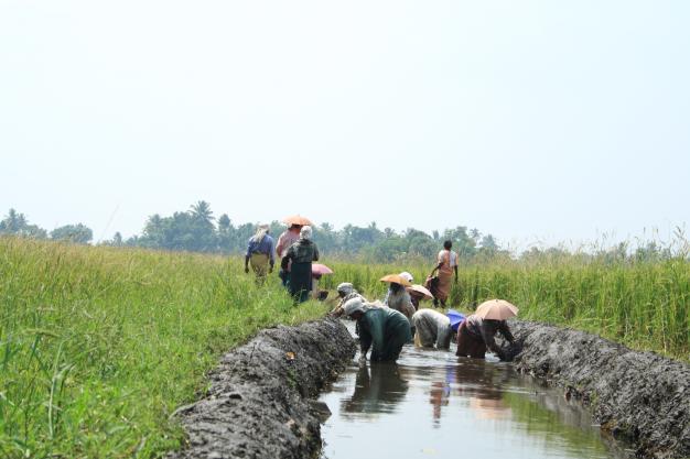 Reallocation of Water for India's Growth