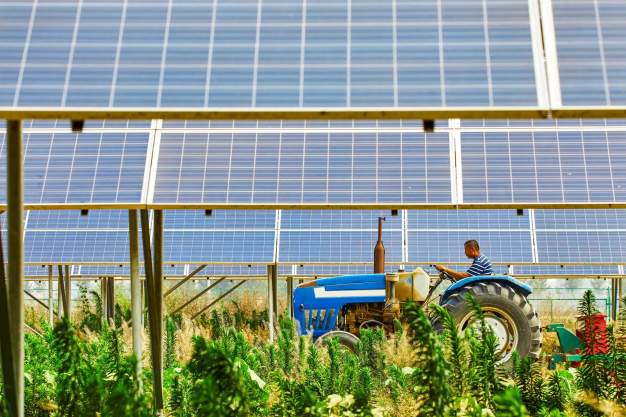 How can India scale agricultural solarisation?